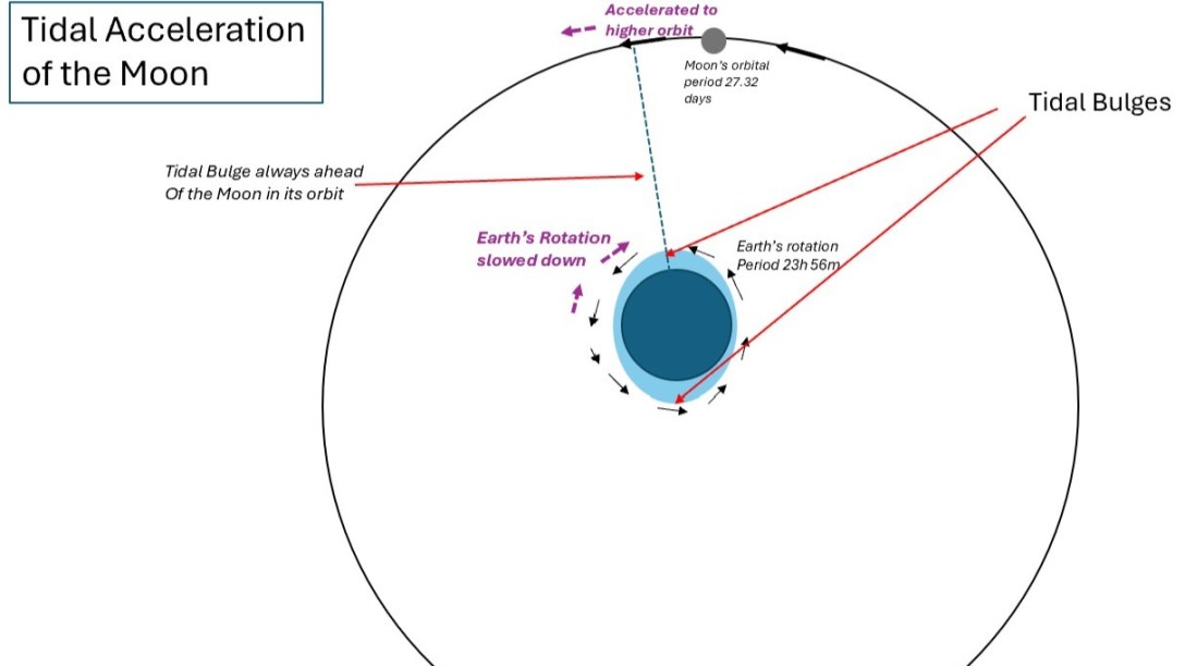 Tidal Friction From the Mon slowing the Earth's rotation