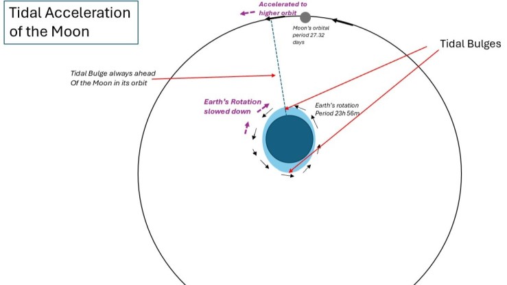 Tidal Friction From the Mon slowing the Earth's rotation
