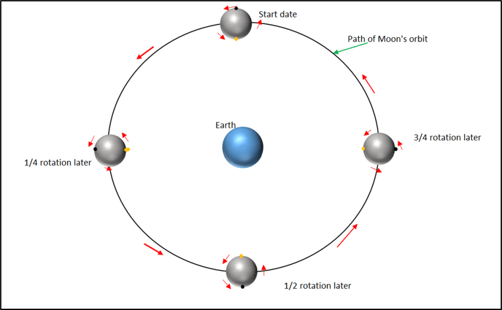 The Moon's rotation is tidally locked to its orbit