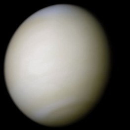 Venus-real