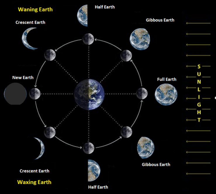 The phases of Earth seen from the Moon